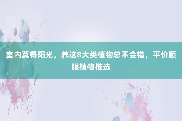 室内莫得阳光，养这8大类植物总不会错，平价顺眼植物推选