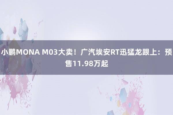 小鹏MONA M03大卖！广汽埃安RT迅猛龙跟上：预售11.98万起