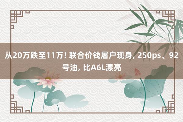 从20万跌至11万! 联合价钱屠户现身, 250ps、92号油, 比A6L漂亮